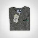 YIS TSH ML 3.webp